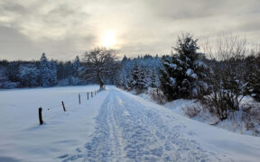 Schneelage Ende Januar 2026