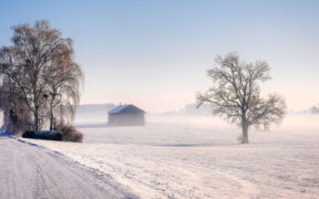 Unter -10 Grad Anfang Februar 2026