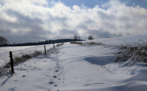 Kalter Start in den Februar 2026