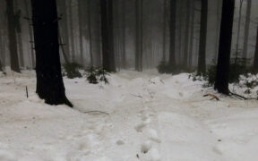 Schneefront zu Fastnacht und Karneval 2026