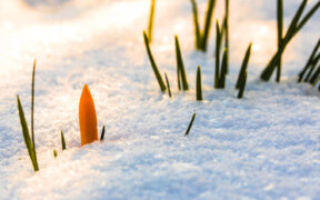 Schnee im März 2026 möglich