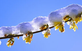 Symbolbild Schnee am 13. und 14. März 2026