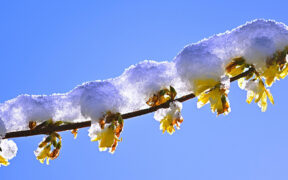 Neuschnee Ende März 2026