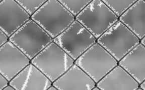 Symbolbild Frost Ende April 2026