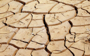 Extreme Trockenheit August 2026